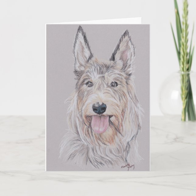 Berger Picard oder Picardy Shepherd Dog Art Gruß Karte (Vorderseite)