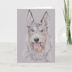 Berger Picard oder Picardy Shepherd Dog Art Gruß Karte
