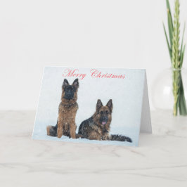 Bergers allemands dans la carte de noël de neige.