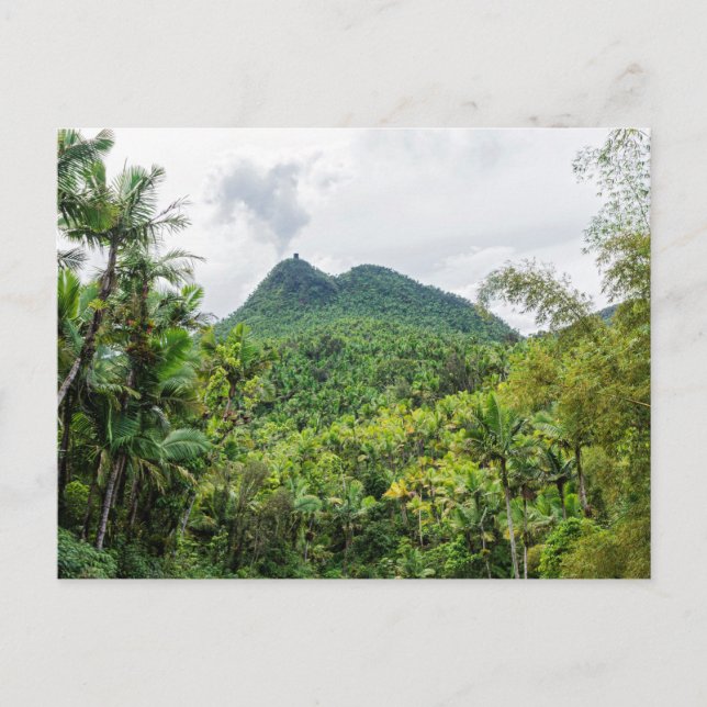 Bergewirr und el-yunque Landschaft Postkarte (Vorderseite)