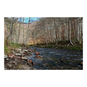 Bergfluss im Herbst – Wilde Natur Rumänien Poster