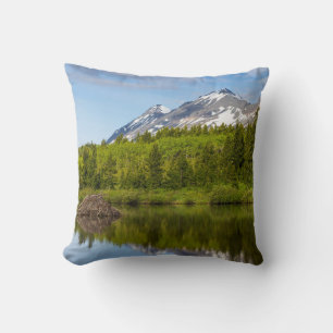 Berggipfel spiegeln sich in einem Biberteich Kissen