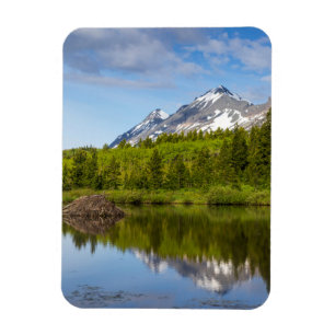 Berggipfel spiegeln sich in einem Biberteich Magnet