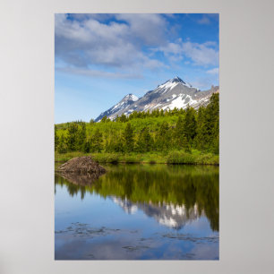 Berggipfel spiegeln sich in einem Biberteich Poster