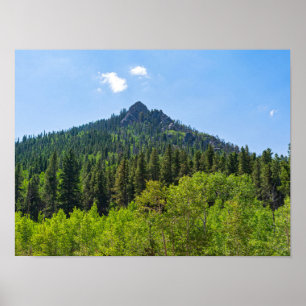 Berggipfel und Wälder am goldenen Tor Poster