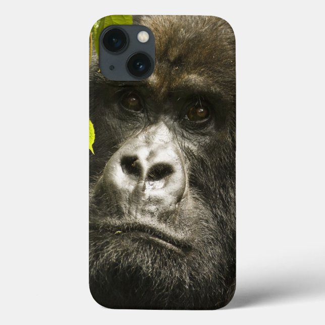 Berggorilla, Gorilla beringei beringei, Case-Mate iPhone Hülle (Rückseite)
