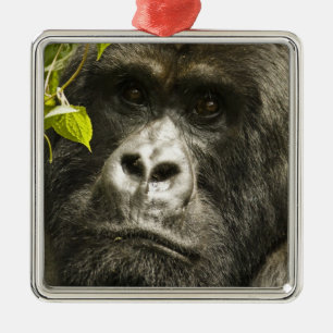 Berggorilla, Gorilla beringei beringei, Ornament Aus Metall