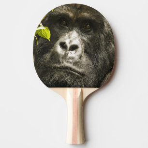 Berggorilla, Gorilla beringei beringei, Tischtennis Schläger