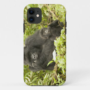Berggorilla, Gorilla beringei (früher G. Case-Mate iPhone Hülle