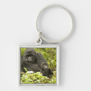 Berggorilla, Gorilla beringei (früher G. Schlüsselanhänger