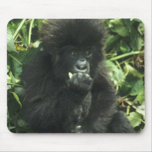 Berggorilla, (Gorilla gorilla beringei), Mousepad