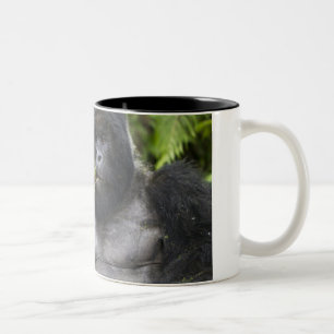 Berggorilla und Silberrücken Zweifarbige Tasse