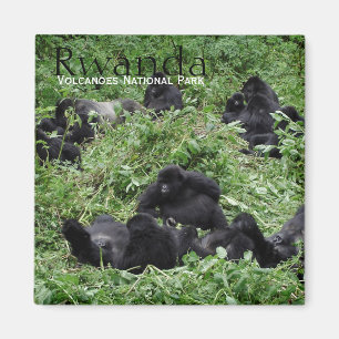 Berggorillagruppe im Ruanda-Textmagneten Magnet