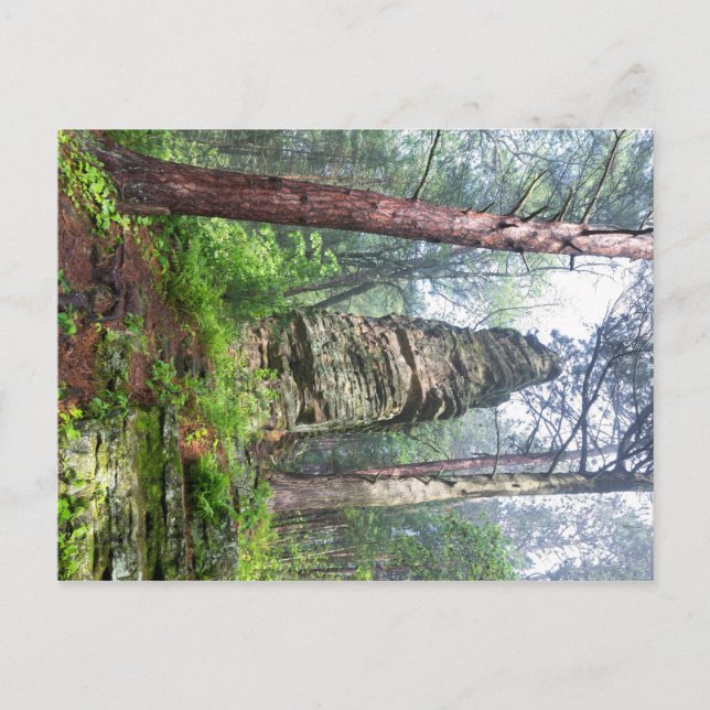 Berghang im Staat Postkarte (Vorderseite)