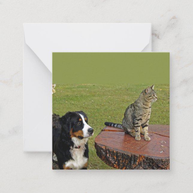 Berghund mit Katze Mitteilungskarte (Vorderseite)