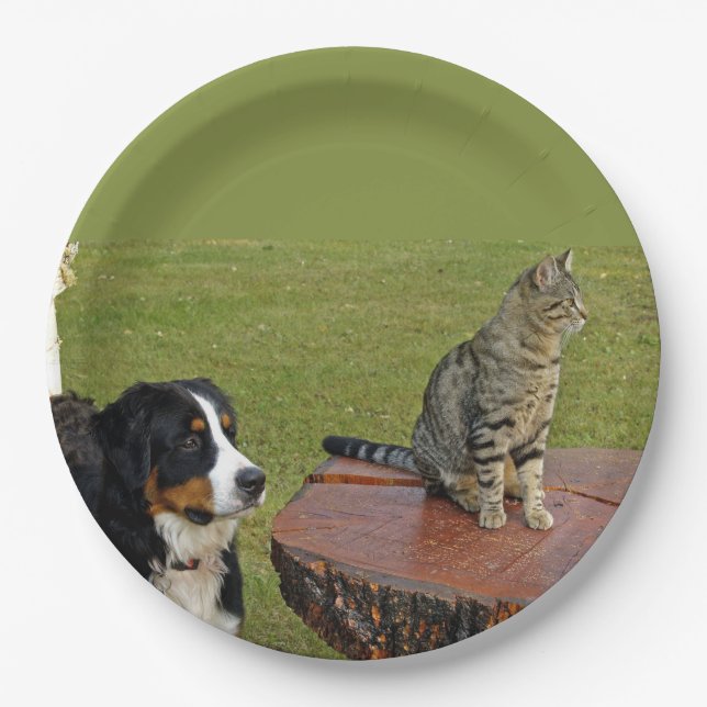 Berghund mit Katze Pappteller (Vorderseite)