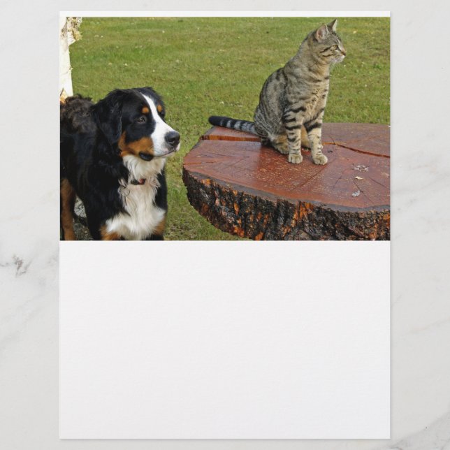 Berghund mit Katzenbuch (Vorderseite)