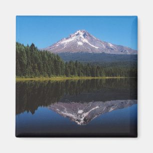 Berghütte im See reflektiert Magnet