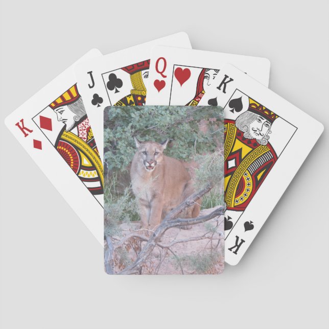 Bergland Spielkarten (Rückseite)