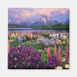 Berglandwild Blume Magnet