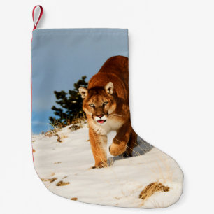 Berglauf auf einem schneebedeckten Hügel Kleiner Weihnachtsstrumpf
