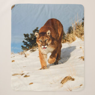 Berglauf auf einem schneebedeckten Hügel Sherpadecke