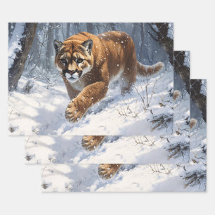 Berglauf im Schneebesen Geschenkpapier Set