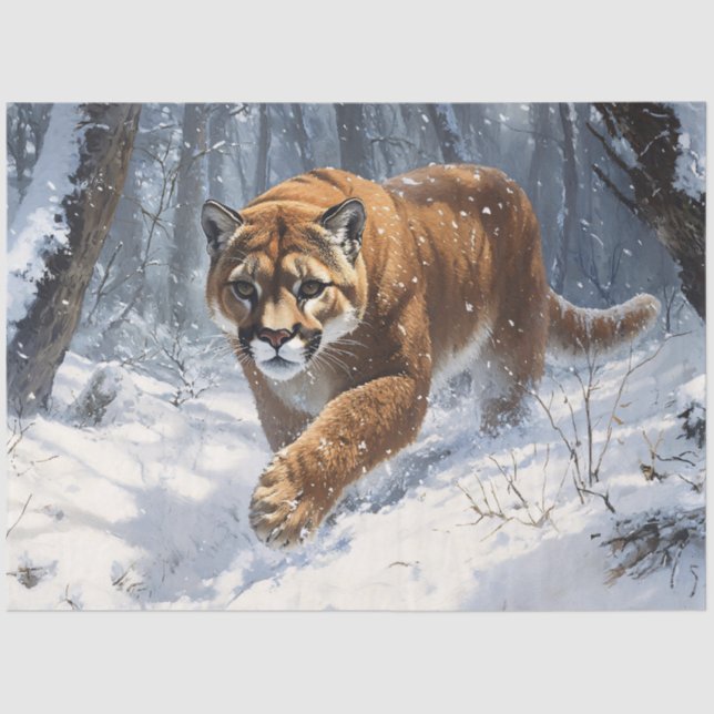Berglauf im Schneebesen Seidenpapier (Vorderseite)