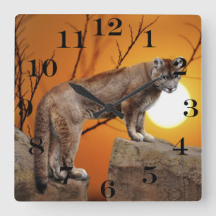 Berglöwe am Sonnenuntergang Quadratische Wanduhr