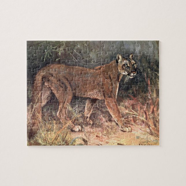 Berglöwe, Puma oder Cougar von CE Swan (Horizontal)