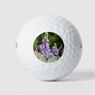 Berglupine bei Yosemite Golfball