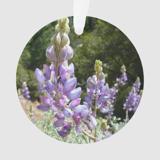 Berglupine bei Yosemite Ornament (Vorderseite)