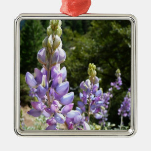 Berglupine bei Yosemite Ornament Aus Metall