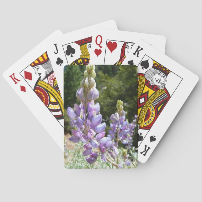 Berglupine bei Yosemite Spielkarten (Rückseite)