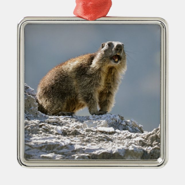 Bergmarmot Ornament Aus Metall (Vorne)