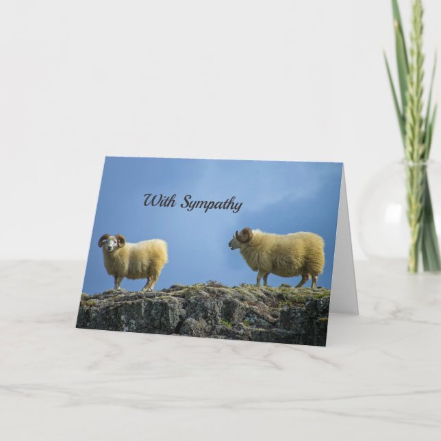 Bergschaf-Sympathiekarte Karte (Vorderseite)