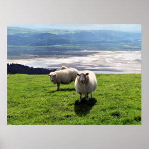 BERGSCHAFT POSTER