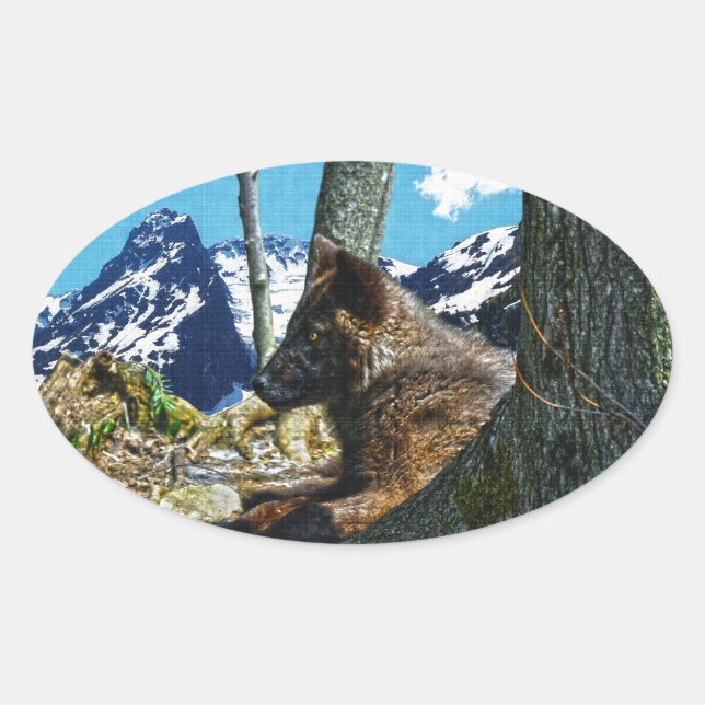 Bergschwarzer Wolf Reitstall am Fuß des Berges Ovaler Aufkleber (Vorderseite)