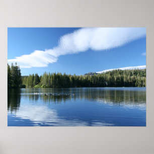 Bergsee, Gänse Poster
