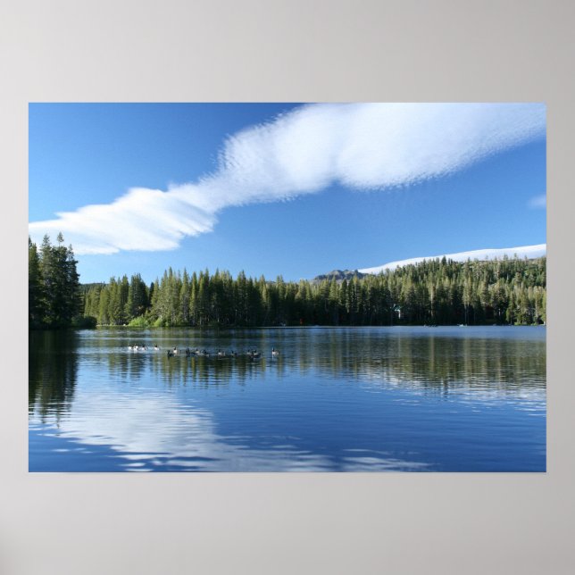 Bergsee, Gänse Poster (Vorne)