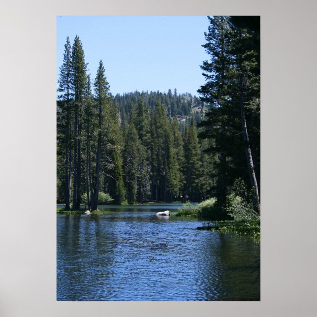 Bergsee, Pinienwald Poster (Vorne)