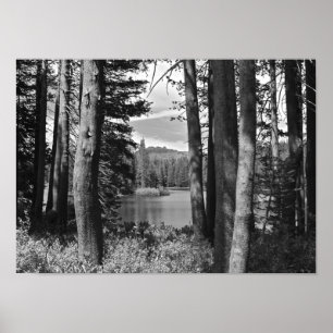 Bergsee, Wald, Schwarz und Weiß Poster