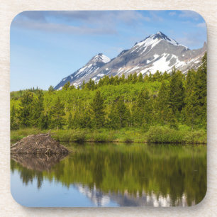 Bergspitzen spiegeln sich in einem Biberteich wide Getränkeuntersetzer