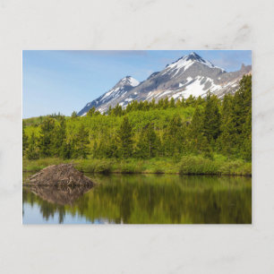 Bergspitzen spiegeln sich in einem Biberteich wide Postkarte