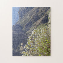 Bergtal mit ruhigen Blüten