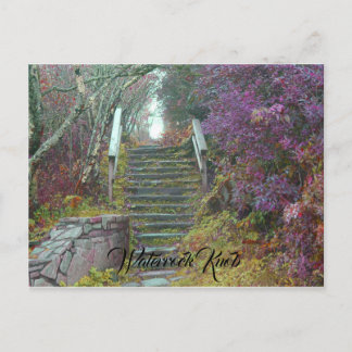 Bergtreppe zum Waterrock Knob, Waynesville NC. Postkarte