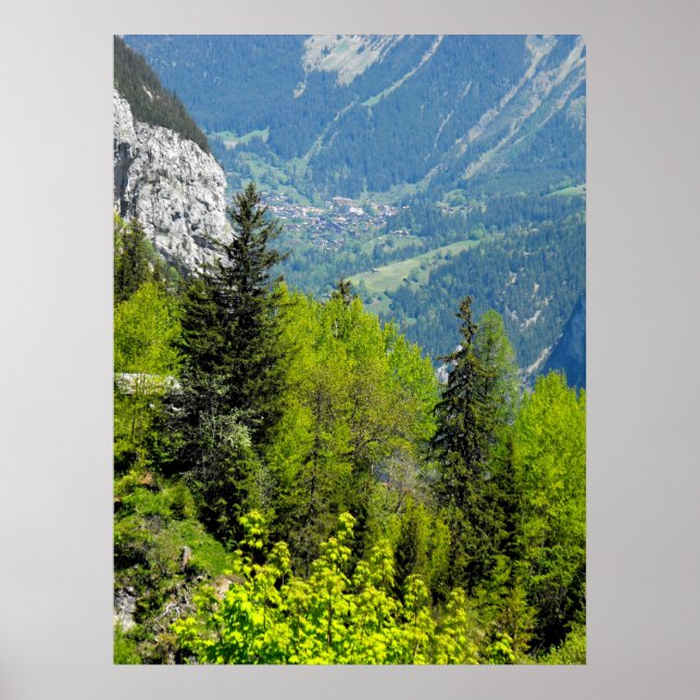 Bergwald in den Schweizer Alpen Poster (Vorne)