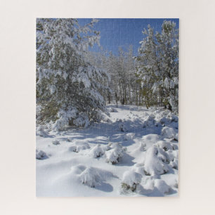 Bergwald in einer Schneedecke