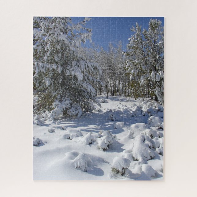 Bergwald in einer Schneedecke (Vertikal)
