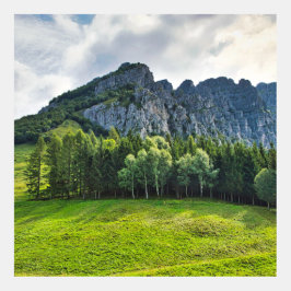 Bergwald mit Kiefern in Norditalien